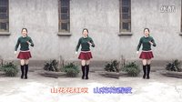 新生代广场舞 山花花