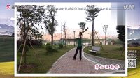 张春丽广场舞 游牧时光 正反教
