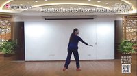応子广场舞 月落泉 正反教