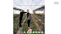 金灿灿广场舞好姐妹：相册