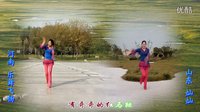 金灿灿广场舞红马鞍：异地合屏（演示：河南乐舞飞