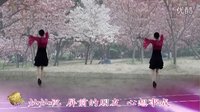 金灿灿广场舞千错万错爱你没有错：