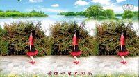 金灿灿广场舞爱你一生：201410016编舞 青儿