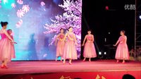 金灿灿广场舞舞动中国：团队现场演出版2014.0