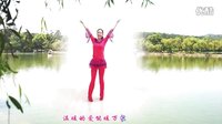 金灿灿广场舞《习大大爱着彭麻麻》正反面附