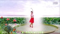 金灿灿广场舞《亲爱的你在哪里》正反面附分