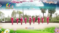 杨丽萍广场舞爱情骗子我问你（步伐舞）