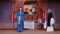 什伍村河北梆子《双官诰》