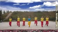 舞动旋律2007广场舞 我的祖国（32步）