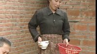 民间小调公婆泪：第一集下载