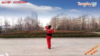 舞动旋律广场舞  把你宠坏  正反面