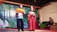 二人转正戏《杨八姐游春》王靖英 徐云鹏_超清下载