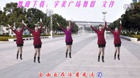 大宇广场舞《火呀》
