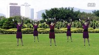 大宇广场舞《草原嗨歌》