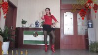 金芙蓉广场舞--迎接2016新年新年更加要努力