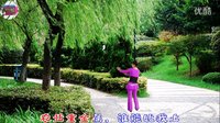 宇美广场舞《农业重金属》背面演示及分解教