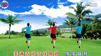 宇美广场舞《喜气洋洋2015》背面演示及口令