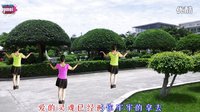 宇美广场舞《啦啦爱》背面及分解