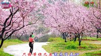 宇美广场舞《梅花泪》（背面）