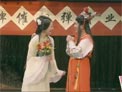 黛玉扫花