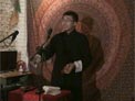 岳云垂阵金蝉子