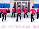 岳家庄乡冯家村辣妈广场舞《火了爱》