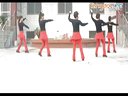 快乐辣妈广场舞(咚巴拉dj) 健身舞