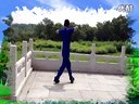 广场舞小苹果筷子兄弟mv原版舞蹈教学视频大全下载
