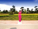 舞动旋律原创广场舞小苹果 含 背面 分解动作下载