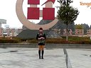 动动广场舞《一路惊喜》含背面分解教学下载