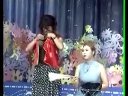 正戏《胡知县断案》佟长江  阎学晶