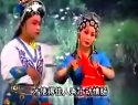 名家名段《马寡妇开店后传》全本 韩子平 郑