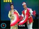 《穆柯寨》全本 《杨门女将》  李晓霞 李雷