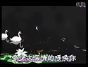 二人转传奇《梦回老家》闫学晶