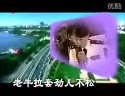 二人转传奇《圆梦》闫学晶
