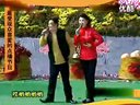 二人转 《小拜年》闫学晶 张小飞