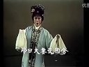 《血手印》全剧 戚雅仙 毕春芳下载