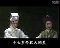 梁祝 越剧全场明星版下载