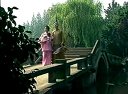 《孟丽君》王志萍、郑国凤、章瑞虹下载
