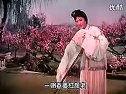 越剧《真假女婿 》(上)（蔡东妃主演）下载