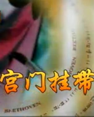 越剧宫门挂带全剧(蔡东妃)下载