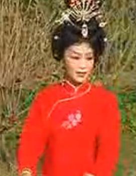 越剧《武大郎追妻》下载