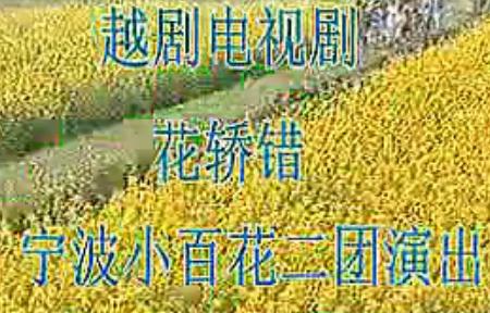 越剧《花轿错》全剧(陈萍、柯雅维)