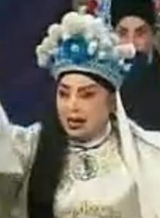 潘杨讼下载