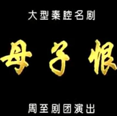 秦腔《母子恨》（忤逆坟）柳水涛 高彩过 齐晓春
