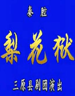 陕西秦腔《梨花狱》