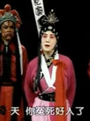 河北梆子《窦娥冤》选段：没来由犯王法身遭大