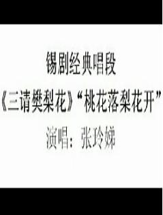锡剧《三请樊梨花》选段：桃花落梨花开 张玲