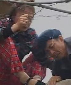 安徽民间小调：闺女跟爹爬墙头下载