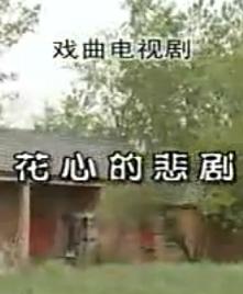 安徽民间小调：花心的悲剧下载